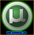 Utorrent Pro | Gestor de Descargas de Torrent